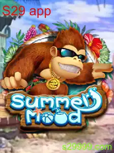 SummerMood